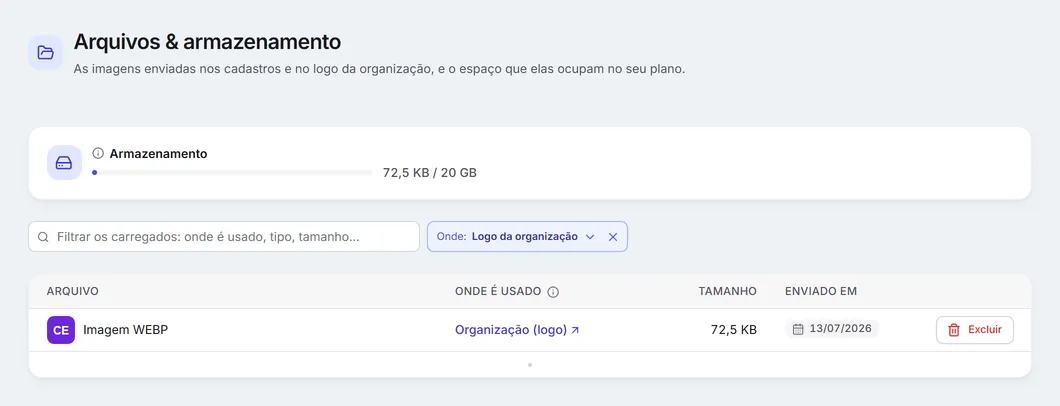 Arquivos e armazenamento: o espaço usado e a lista de arquivos filtrada pelo logo da organização.