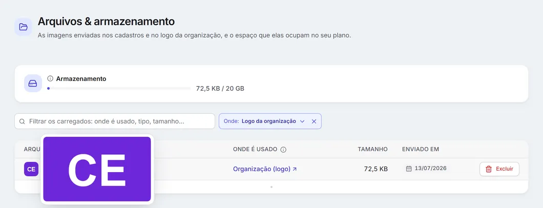 Os arquivos do logo da organização, com a pré-visualização de uma imagem ao passar o mouse.